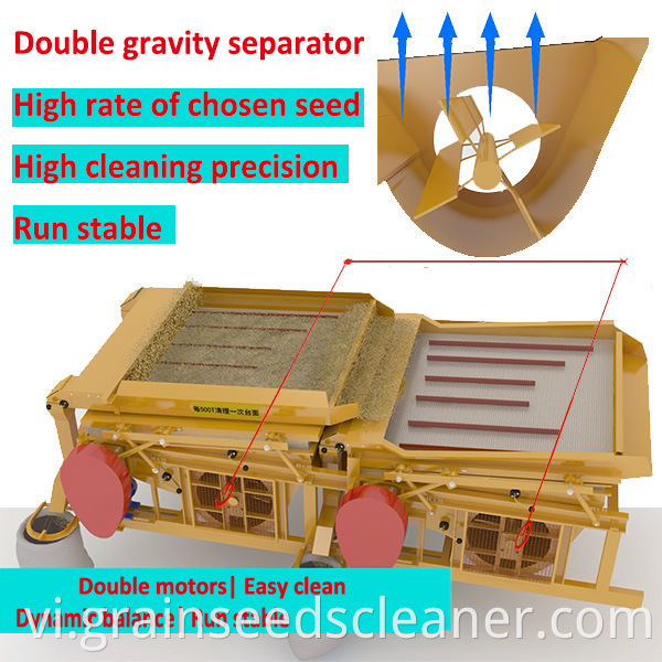 mung bean cleaning process line